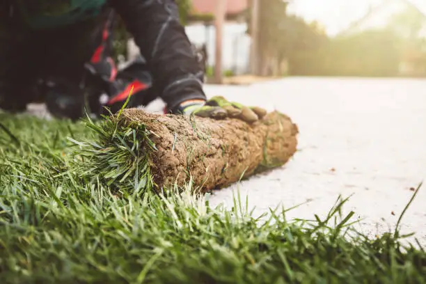 Turf Installation view 1