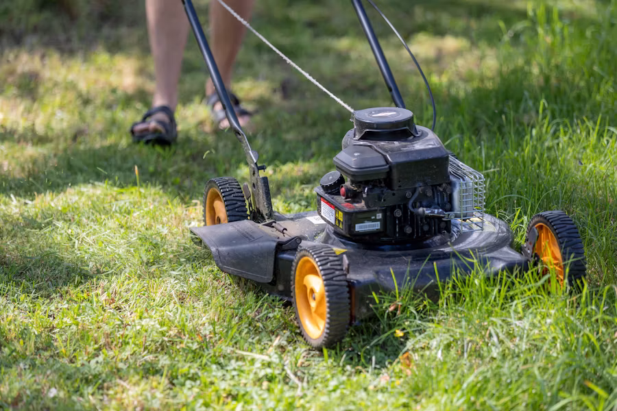 Grass Cutting and Edging view 2