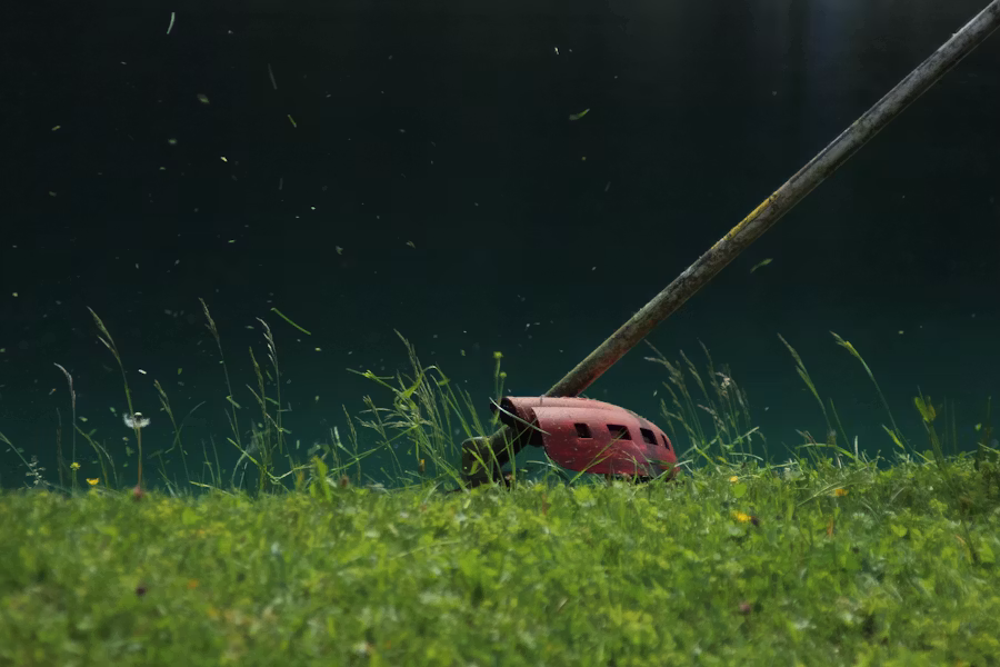 Grass Cutting and Edging view 3