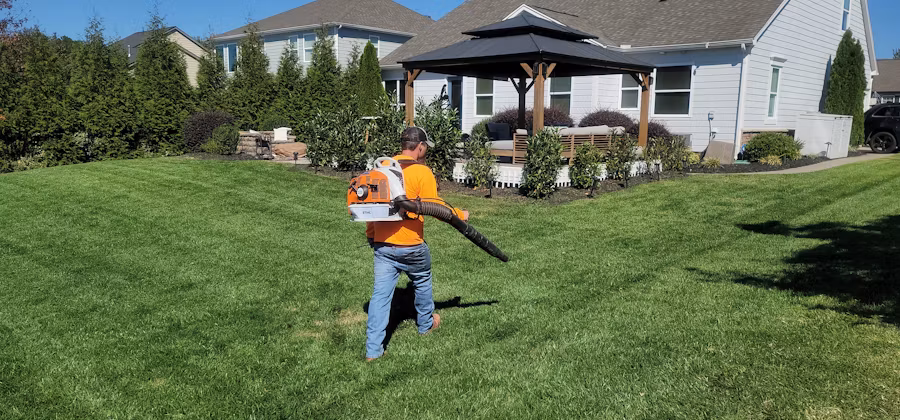 Lawn Care view 3