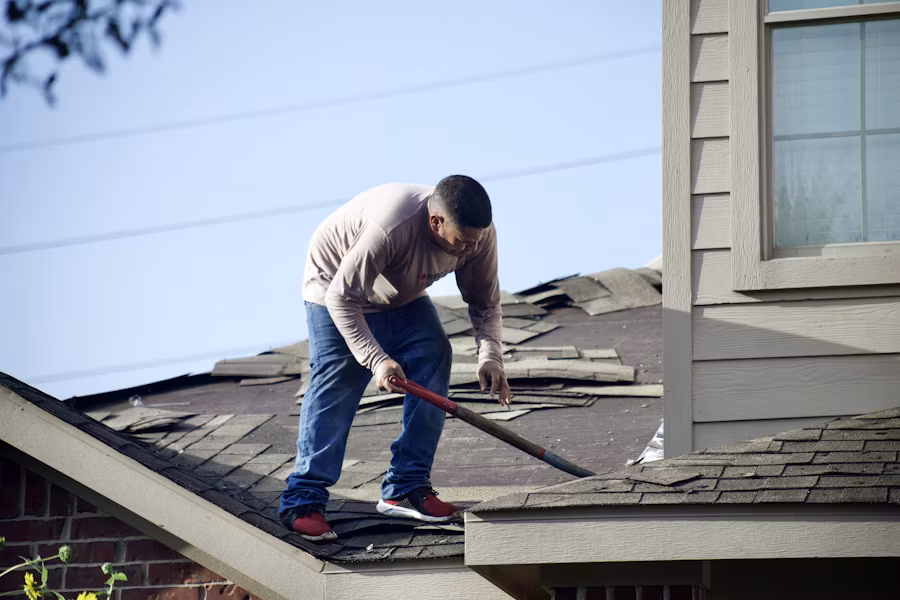 Roof Cleaning view 1