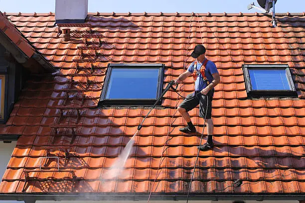 Roof Cleaning view 3