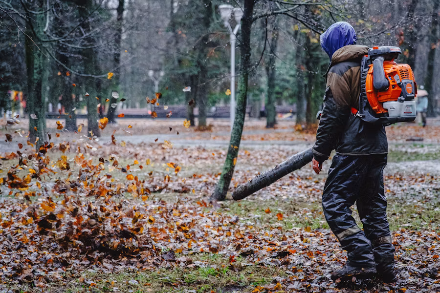 Seasonal Leaf Cleanup view 1