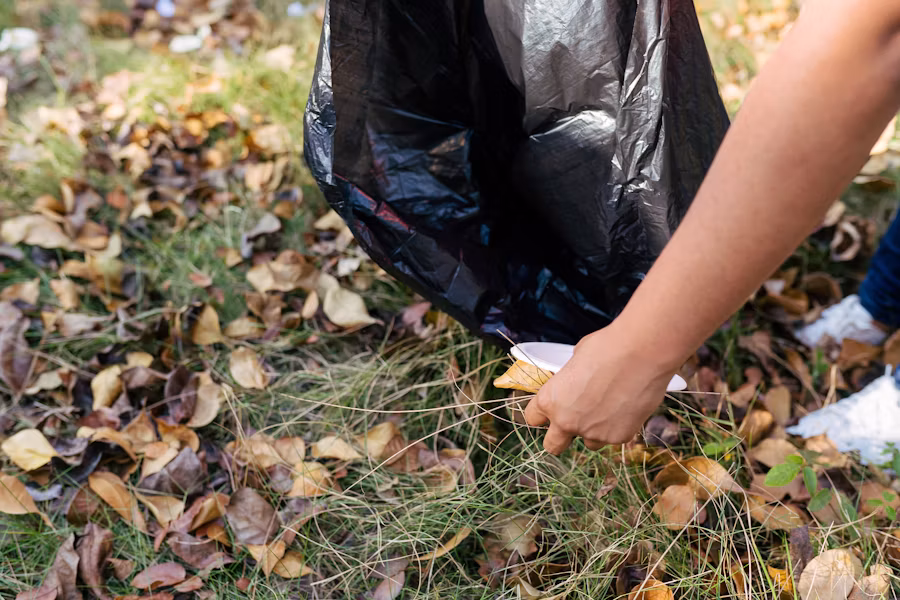 Seasonal Leaf Cleanup view 2