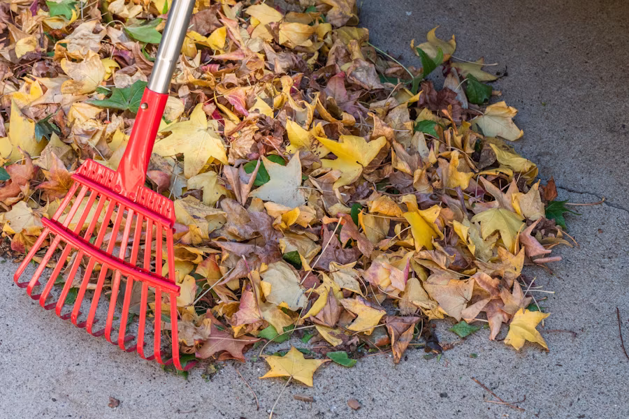 Seasonal Leaf Cleanup view 3
